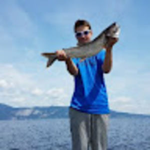 Meet your Posher, Gregory